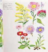 Jávorka Sándor-Csapody Vera: Kerti virágaink. Közép-európai dísznövények színes atlasza. Bp., 1962, ...