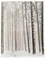 Pierre Borhan: Izis. Rétrospective Izis. 14 Octobre - 8 Januier Hotel de Sully. Paris, 1988., Caisse...