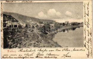 1904 Tokaj, látkép a Tisza parttal