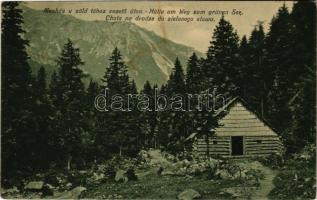 1912 Tátra, Magas-Tátra, Vysoké Tatry; Menház a Zöld-tóhoz vezető úton / Hütte am Weg zum grünen See / Chata na drodze do zielonego stawu / chalet, cottage on the way to the lake (fl)