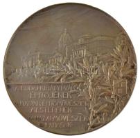 Strobl Alajos (1856-1926) 1905. "Hauszmann Alajos - műépítész, tanár" ezüstözött bronz eml...