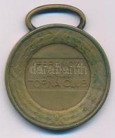 Berán Lajos (1882-1943) 1928. "Ferencz Városi Torna Club" kétoldalas jelzett bronz díjérem...