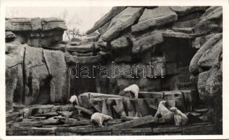 Budapest Áállatkert