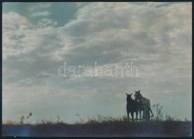 Falusi életképek, 4 db művészi igényű, utólagosan színezett fotó, az egyiken 1931-es jelzéssel (olva...