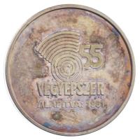 2006. Vegyépszer 55 kétoldalas, a Völgyhidat ábrázoló ezüstözött fém emlékérem dísztokban (23mm) T:PP patina