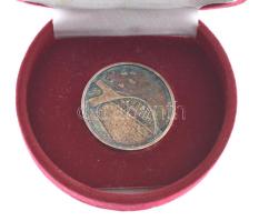 2006. "Vegyépszer 55" kétoldalas, a Völgyhidat ábrázoló ezüstözött fém emlékérem dísztokba...