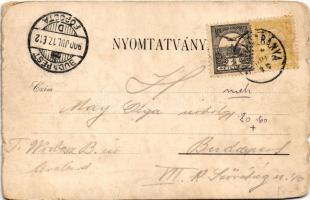 1900 Selmecbánya, Schemnitz, Banská Stiavnica; látkép / general view (b)