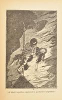Verne Gyula: Fekete Indiák. Ford.: Zempléni P. Gyula. Bp.,1901, Eisler G.. Egészoldalas illusztráció...