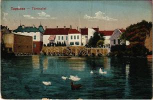 1919 Tapolca, Tórészlet. Löwy B. kiadása (Rb)