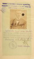 1918 Károly osztrák császár és magyar király nevében kiállított, fényképes útlevél; külső ill. belső...