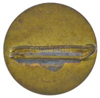 ~1920-1930. "Országos Erdészeti Egyesület 1866" műgyantás fém kitűző (17mm) T:AU