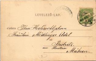 1904 Budapest III. Óbudai hajógyár részlete, "Tachtalia" kerekes személyszállító gőzhajó, ...