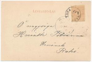 1900 Nagybánya, Baia Mare; az erdélyi út felől. Molnár Mihály kiadása / street