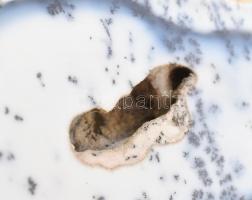 Merlinit ásvány 10x4,8 cm, 176 g