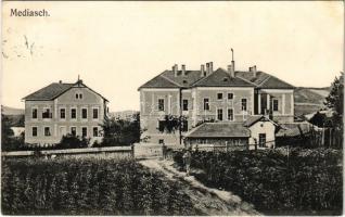 1917 Medgyes, Mediasch, Medias; Landwirtschaftliche Lehr-Anstalt / Mezőgazdasági tanintézmény. Fritz Guggenberger kiadása / agricultural school