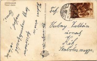 1903 Gyulafehérvár, Karlsburg, Alba Iulia; Park pavilon. Weisz Bernát kiadása / Park pavilion