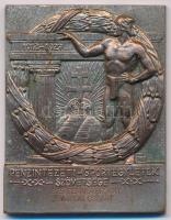 1929. "Pénzintézeti Sportegyletek Szövetsége 1912-1927" ezüstözött bronz emlékplakett, "1929. Tennisverseny bajnoki csapat II." gravírozással (55x43mm) T:XF kopott ezüstözés, hátoldalán ragasztónyom