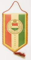 1982 Magyar Labdarúgó Szövetség (MLSZ) zászló, a hátoldalon "Mundial '82 Espana" címk...