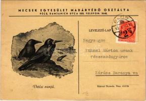 1942 Vetési varjú. Mecsek Egyesület Madárvédő Osztálya, Pécs, Damjanich utca 13/3. / Rook (Corvus frugilegus) (EK)