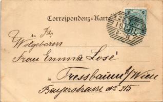 1900 Bad Ischl, Vom Gassner aus gesehen / general view (EK)