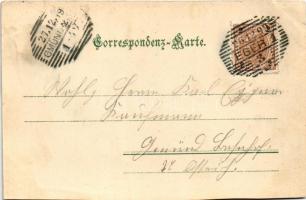 1899 (Vorläufer) Cheb, Eger; Blick vom Sprung / general view, bridge (cut)