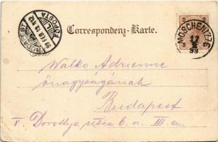 1899 (Vorläufer) Moscenice, Moschenizze, Moschiena; Art Nouveau, floral (EB)