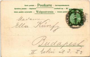 Trento, Trient (Südtirol); Castello / castle. Strützel's Kunstlerkarte Serie No. 53. litho s: O...