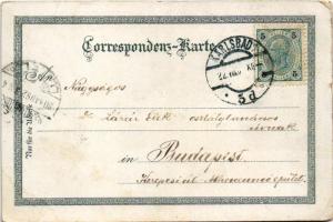 Karlovy Vary, Karlsbad; Stadtpark / park (small tear)