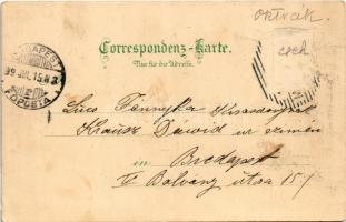 1899 (Vorläufer) Mariánské Lázne, Marienbad; Kreuzbrunnen-Colonade / sp. Aquarellkarte No. 5037. Reg...