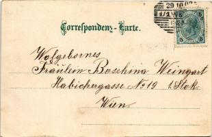 1902 Wien, Vienna, Bécs; Belvedere / royal castle. litho (EK)