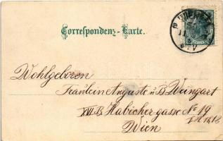 Wien, Vienna, Bécs; Rotunde. litho (EK)