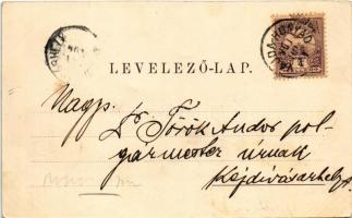 1901 Vajdahunyad, Hunedoara; Hunyadi lovagvár, Vajdahunyad vára. Schuller A. kiadása / castle (EB)