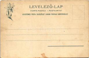 Tátra, Magas Tátra, Vysoké Tatry; A fogaskerekű vasút tájrészlete a Csorbai tóhoz. Feitzinger Ede 4....