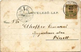 1903 Vasvár, Apácazárda. Farkas J. kiadása (fl)