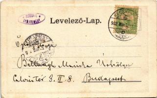 1902 Kecskemét, Kossuth tér, Városháza, Witz üzlete. Gallia kiadása (EB)