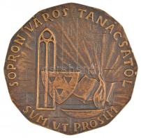 Renner Kálmán (1927-1994) ~1970-1980. "Dr. Lackner Kristóf 1571-1631 / Sopron város Tanácsától ...