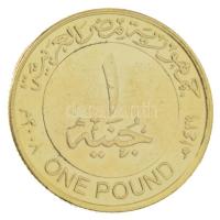 Egyiptom 2008. 1P aranyozott, multicolor rátéttel kapszulában T:XF Egypt 2008. 1 Pound gilt, with multicolor overlay in capsule T:XF