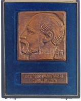 1976. "Országos Nyári Tárlat Debrecen, 1976" bronz emlékérem eredeti tokban, csavaros hátlappal. Szign.: MF? (108x104mm) T:AU