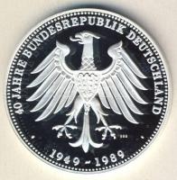 Németország DN "II. János Pál pápa Németországban" Ag 20,4g emlékérem T:PP