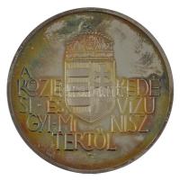 Ligeti Erika (1934-) DN "A Vízügyért / A Közlekedési és Vízügyi Minisztertől" peremen jelz...