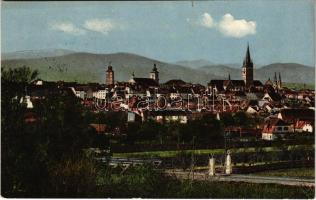 1915 Nagyszeben, Hermannstadt, Sibiu; látkép / general view (szakadás / tear)