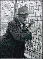 cca 1980 Budapest, potyázók a Népstadionban, Magyar Alfréd budapesti fotóművész felvételei, 2 db mod...