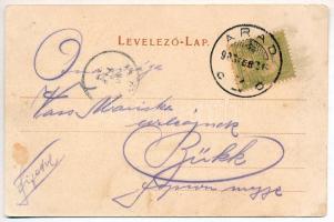 1903 Arad, Salacz park, csanádi palota. Bloch H. nyomda kiadása / park and palace (EK)