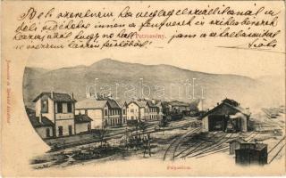 Petrozsény, Petrosani; pályaudvar, vasútállomás, gőzmozdony, vonat. Joánovits és Sternád kiadása / railway station, locomotive, train