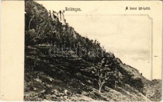 Belényes, Beius; A borzi kőkotló / hiking spot, rock (EK)