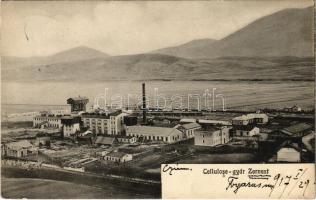 1917 Zernest, Zernyest, Zarnesti; Cellulózgyár. M. Bloos kiadása / cellulose factory (EK)