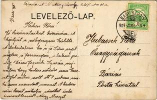 1909 Nagykároly, Carei; Gróf Károlyi kastély és park részlet. Csókás László kiadása / castle, park (...