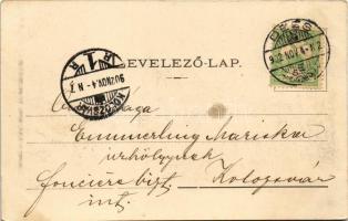 1902 Dés, Dej; látkép. Gálócsi S. kiadása / general view (felületi sérülés / surface damage)