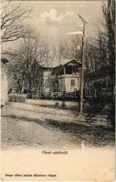 Szlatinafüred, Slatina (Aknaszlatina, Máramaros); Pável sósfürdő, park. Berger Miksa kiadása / salt bath, spa, park (felszíni sérülés / surface damage)