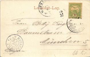 1904 Barcarozsnyó, Rozsnyó, Rosenau, Rasnov; Hotel u. Burg, Gasthaus zur Rosenauer Burg / Szálloda B...